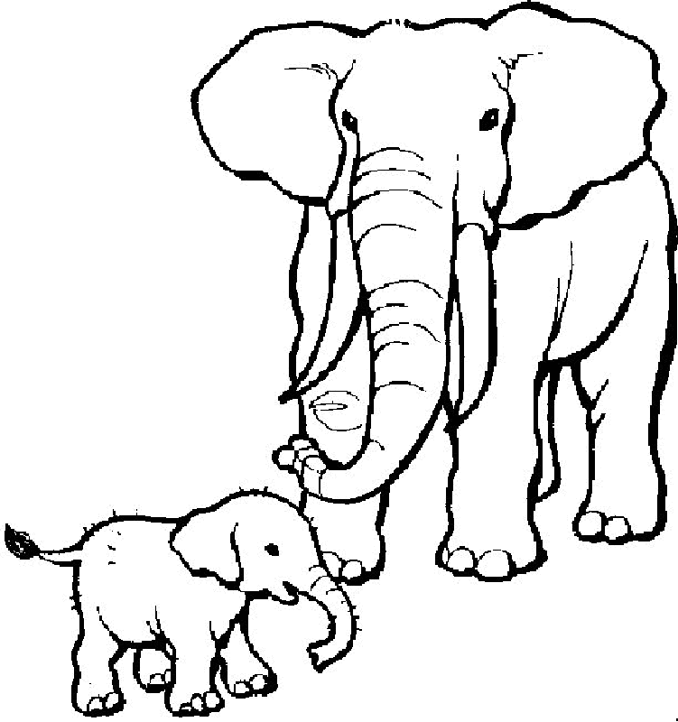 Plansa de colorat cu Elefant 42 37